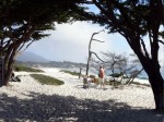 Older picture taken with an old Panasonic Lumix - Carmel Beach - Mike Hope